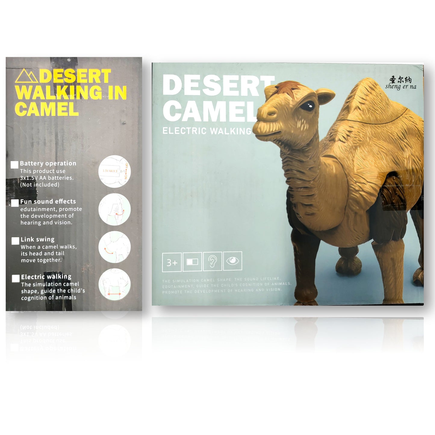 Desert Camel