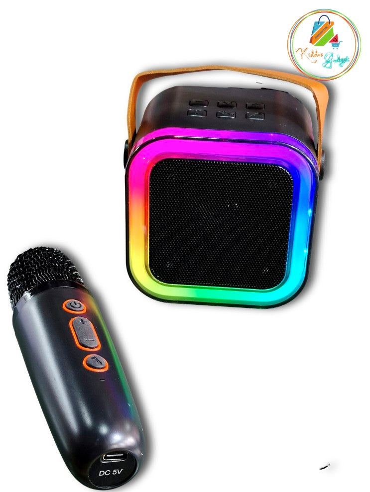 Wireless Karaoke Speaker